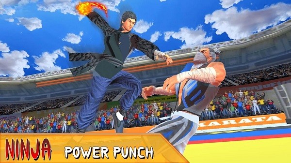 功夫空手道免费版截图2