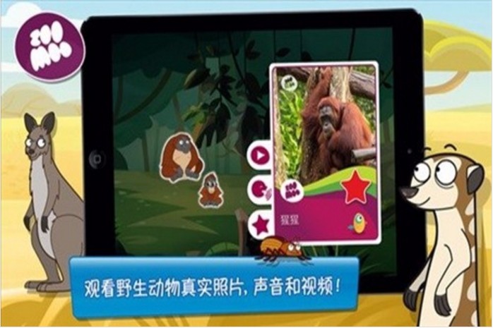 动物好伙伴破解版截图3