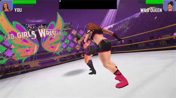 美女摔跤模拟器破解版截图3