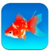 金鱼模拟器免费版
