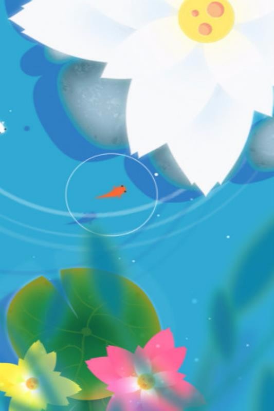 鲤鱼测试版截图2