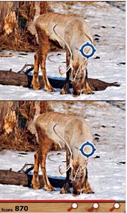 动物找茬单机版