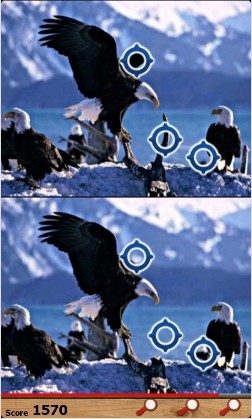 动物找茬单机版截图3