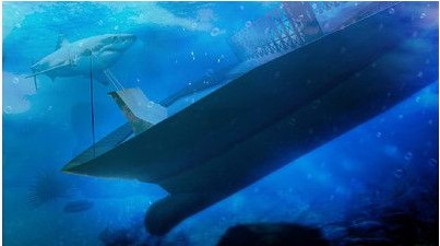 口袋VR水族馆官方版截图2