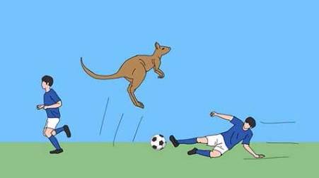 猫跨栏官方版截图2