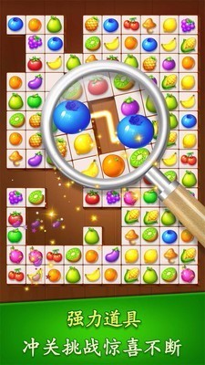 连连看水果派对破解版截图3
