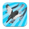 燕子模拟器体验服版