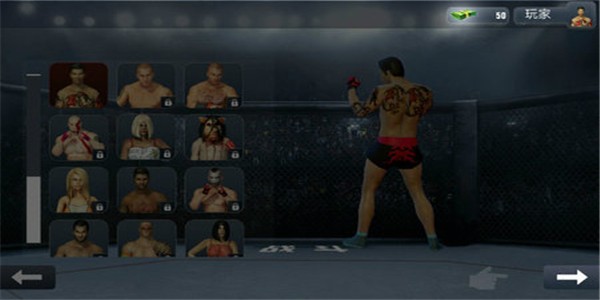 暗影大乱斗单机版