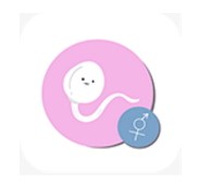 精疲力尽单机版