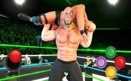 职业摔角比赛搏击赛破解版截图3