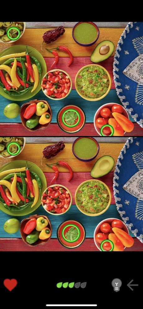 寻找差异单机版