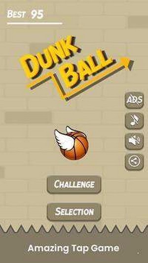 飞扬的球射官方正版